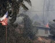 Fotografía que muestra incendios forestales que afectan la zona de Las Palmas, Viña del Mar, Región de Valparaiso, en Chile.