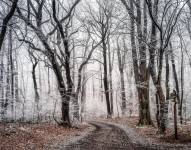 El extraño fenómeno de la desnudez paradójica