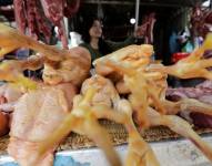 Las autoridades sanitarias chinas anunciaron hoy la detección del primer caso mundial de gripe aviar H10N3 en humanos. EFE/ Mak Remissa/Archivo