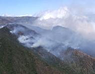 Incendio forestal en el sector La Carbonería.
