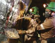 El objetivo es impulsar acciones de cooperación conjunta que permitan la transferencia de conocimientos y experiencia. Referencial