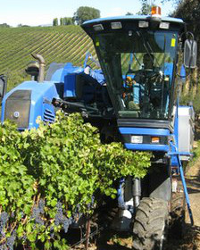 Ojos voladores para los viñedos