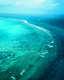 Los riesgos de la cirugía bariátrica