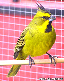 Los riesgos de la cirugía bariátrica
