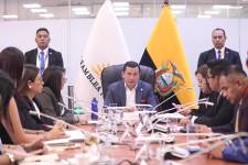 Ferdinan Álvarez preside la Comisión de Fiscalización.