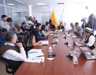 La Comisión de Seguridad Integral durante la sesión en el Parlamento.