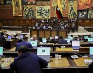 La sesión número 5 del Pleno en la que se trató el caso de la exasambleísta Esther Cuesta.