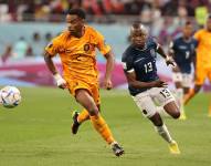 Ecuador enfrentará a Países Bajos por un amistoso antes del Mundial 2026.