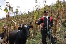 Imagen referencial de un beneficiario del bono Raíces.