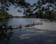 Los ecologistas también se oponen a otras actividades extractivas como la tala de madera y la minería.