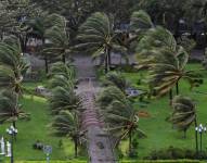 Los árboles vuelan tras la llegada del tifón Kalmaegi a tierra cerca de la playa de Quy Nhon en Vietnam