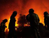 Bomberos intentan apagar un incendio en Ercilla, región de la Araucanía (Chile). EFE/ Camilo Tapia