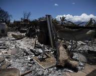 Los restos de una vivienda carbonizada por los incendios en Hawái.
