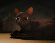 En Ecuador, según el Instituto Nacional de Estadística y Censos, en 2024 existieron 2 390 232 felinos en los hogares ecuatorianos.