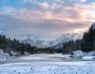 Foto de referencia de la naturaleza cubierta de nieve