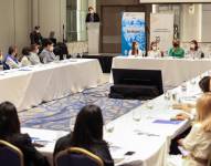 Los denominados Centros Violeta son instancias interinstitucionales responsables en su territorio de coordinar las acciones entre entidades públicas y privadas . Alcaldía Guayaquil