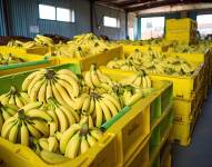 Imagen referencial de cajas de banano de exportación.