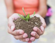 Persona sosteniendo Tierra y una planta