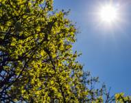 Imagen de un clima cálido.