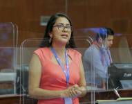 Gisella Molina durante una sesión del Pleno de la Asamblea.