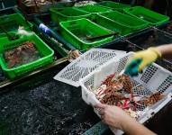 Imagen referencial de productos acuáticos en un mercado en China.