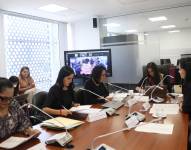 La Comisión por la Verdad y Justicia del caso María Belén Bernal es presidida por la legisladora Ana Herrera.