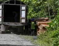 Trabajadores cargan un camión con troncos de balsa, en Río Villano, provincia de Pastaza (Ecuador), en una fotografía de archivo.