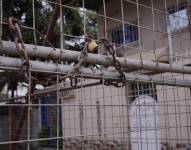 Familias dejan sus hogares en otros puntos del noroeste de Guayaquil y en Durán debido a la violencia.