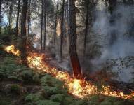 Ya son seis las personas muertas por la decena de incendios que devastan el sur y oeste de Turquía