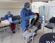 Detalle de las pruebas de covid-19 realizadas en Ecuador, en una fotografía de archivo. EFE/José Jácome