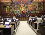 El fracaso del nuevo Ecuador en la Asamblea