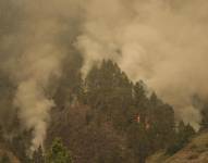 El fuego avanza en uno de los valles del municipio de Arafo, Tenerife.