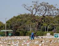 Brasil supera el medio millón de muertes por coronavirus