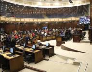 La norma pretende garantizar el derecho al debido proceso en los casos de suspensión de naturalización.