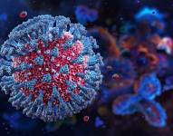 Imagen referencial de un virus.