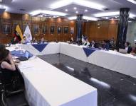 La reunión de la Comisión de Seguridad Integral con los delegados de las instituciones públicas.