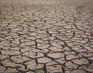 Imagen referencial: Sequía.