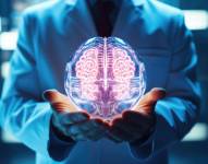 Imagen referencial de doctor sosteniendo un cerebro.