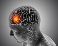 Imagen médica en 3D de hombre