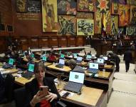 La bancada del correísmo da la espaldas al Pleno de la Asamblea cuando se aceptó la renuncia de Diana Salazar.