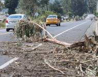 Cayambe, jueves 16 de octubre del 2025. Manifestantes bloquearon la vía con árboles.
