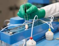 Es el primer tratamiento oral contra anticovid que los estadounidenses podrán tomar en sus casas.