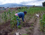 Las alertas se levantaron luego de que el Gobierno Nacional -en la Proforma Presupuestaria 2022- no asignó recursos económicos para tres proyectos clave.