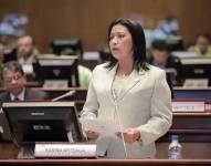 Karina Arteaga en una foto de archivo de la Asamblea Nacional.