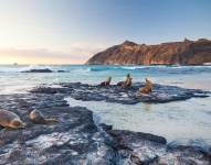 Isla San Cristóbal, Parque Nacional Galápagos.