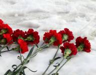 Imagen de claveles rojos sobre la nieve.