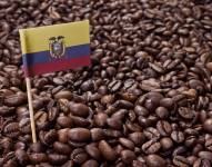 Está previsto que dos expertos comunitarios capaciten y asesoren a los caficultores manabitas, que recibirán asistencia técnica.