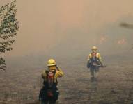 La provincia que concentra la mayoría de incendios es Pichincha, sin embargo, la que mayores hectáreas quemadas ha registrado es Loja.