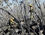 Los Bomberos de Quito colaboraron en la emergencia de esta semana.