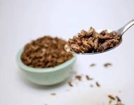 Insectos como parte de la comida.